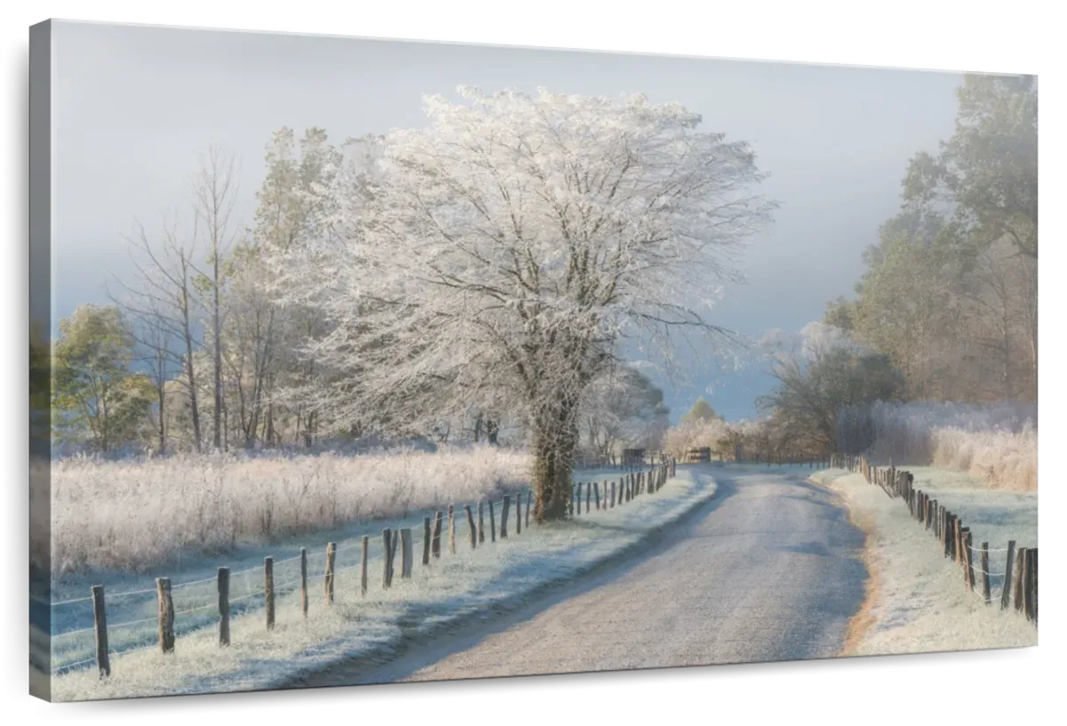 A Frosty Morning Wall Art