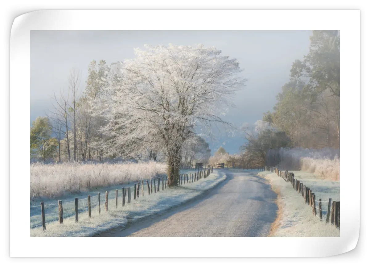 A Frosty Morning Wall Art