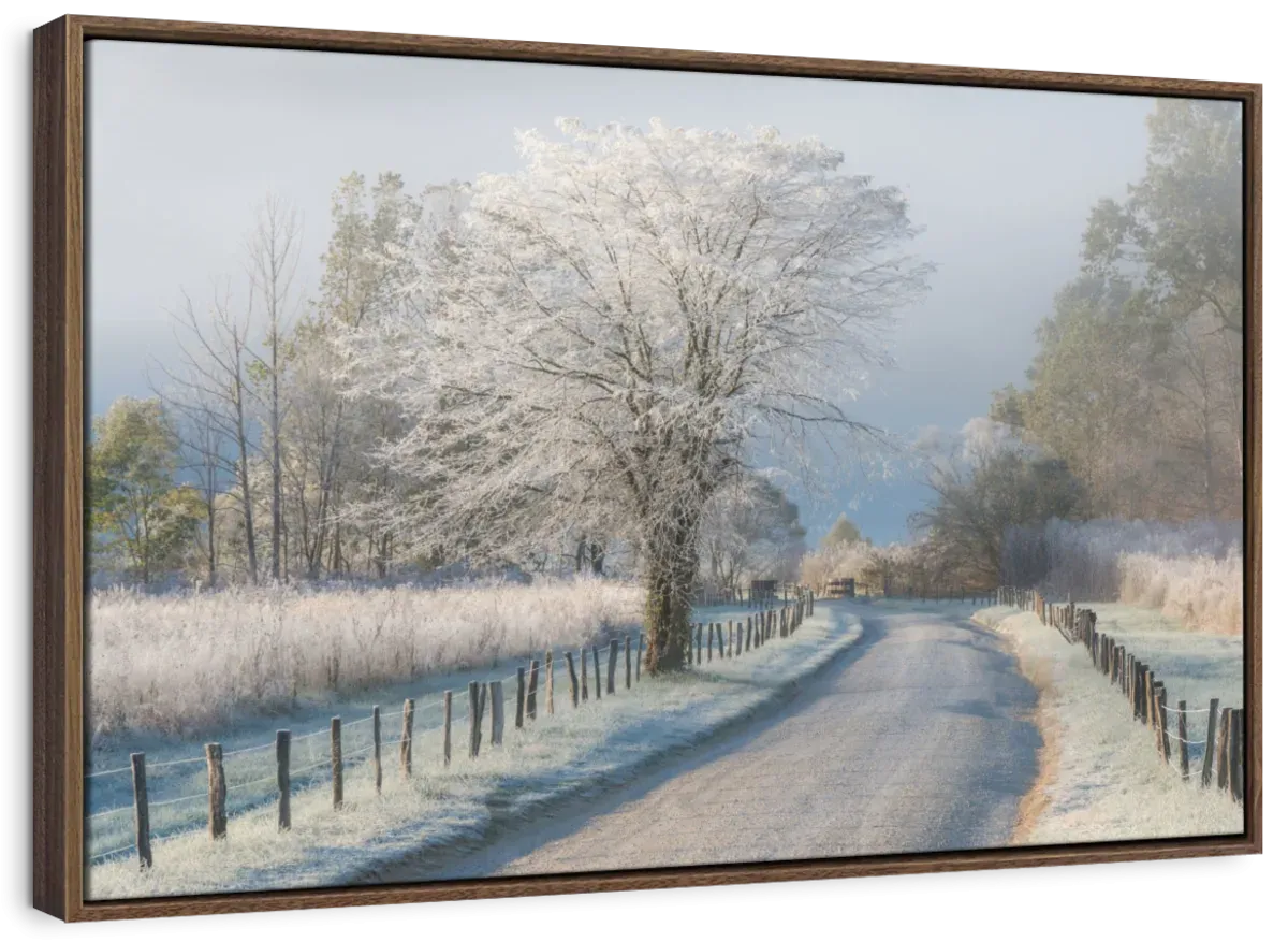 A Frosty Morning Wall Art