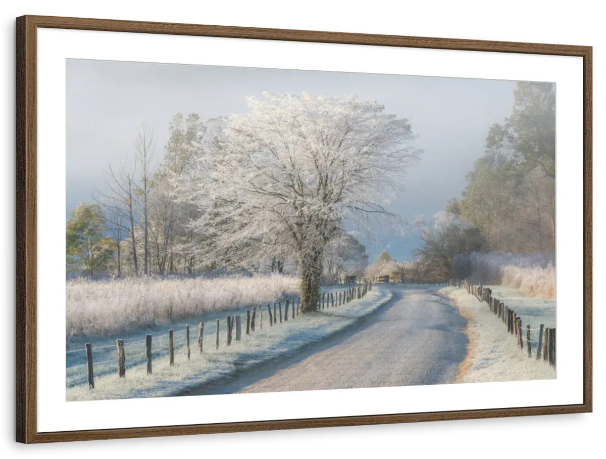 A Frosty Morning Wall Art