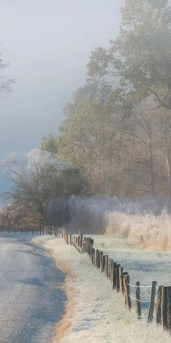 A Frosty Morning Wall Art