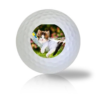 Cat Golf Balls