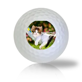 Cat Golf Balls