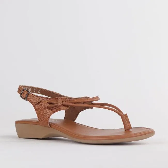 Women's Thong Flat Sandal in Tan Multi - 10732