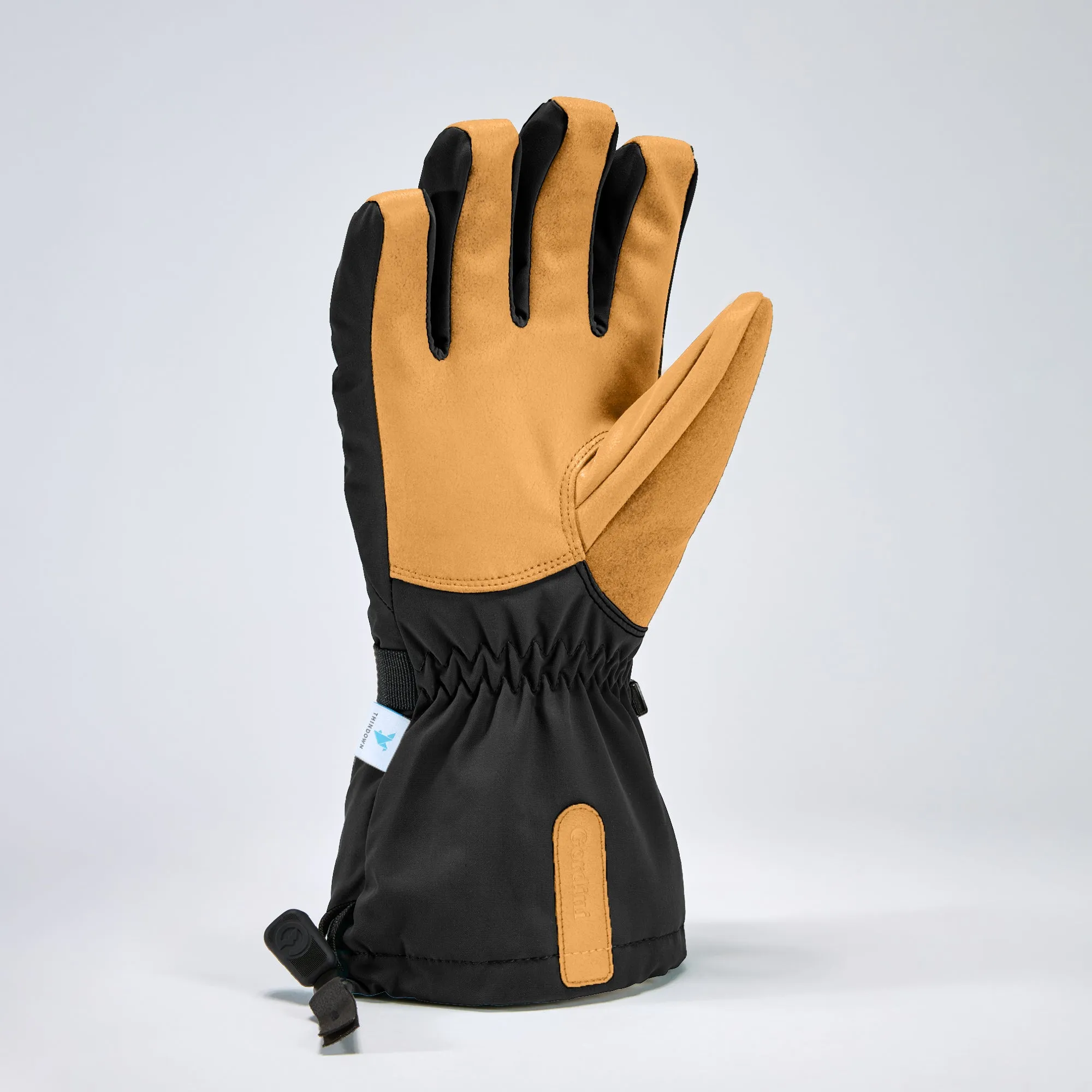 Women's Windward Glove